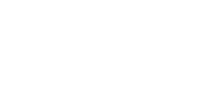 Les Nouvelles Voix